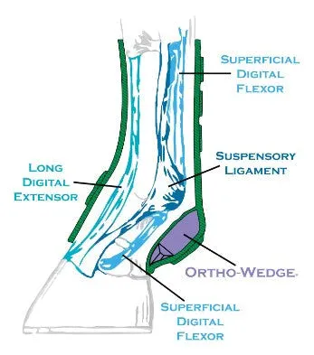 Iconoclast Orthopedic Boot- Front